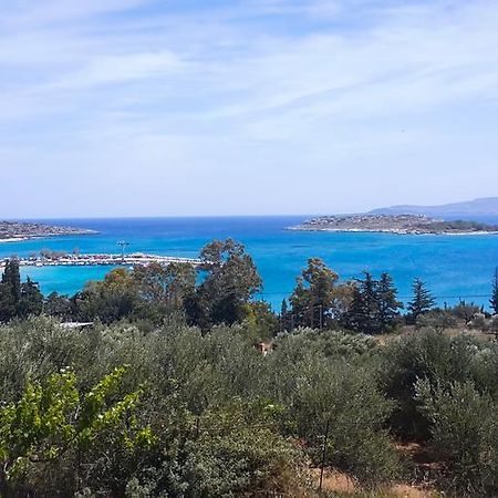 Marathi Panorama Rooms מראה חיצוני תמונה